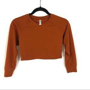 American Apparel long sleeve crop